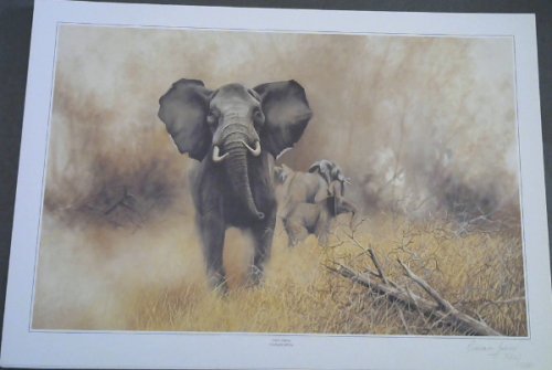 Wild Life Prints : Graham Jahme : 