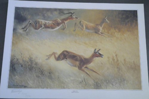 Wild Life Prints : Ingrid Weiersbye : 