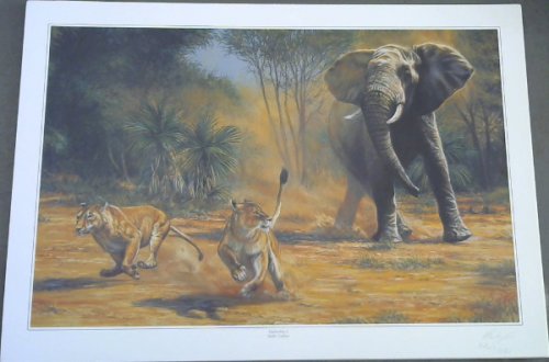 Wild Life Prints : Mark Coetzee : 