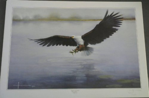 Wild Life Prints : Henk Vos : 