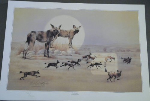 Wild Life Prints : Sheila Santilhano : 