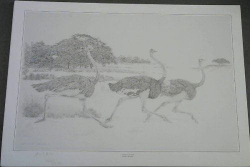 Wild Life Prints : Bowen Boshier : 