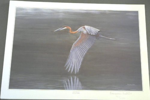 Wild Life Prints : Bronwen Mellor : 