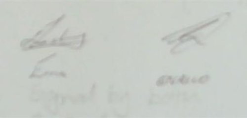 We Are The Champions: The Champion Trees of South Africa