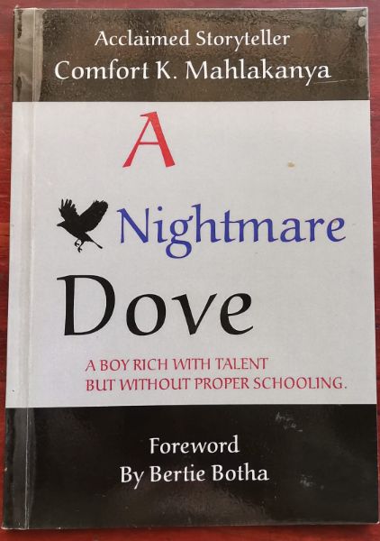 A Nightmare Dove: A Boy Rich with Talent but Without Proper Schooling
