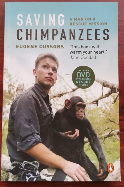 Saving Chimpanzees: A Man On A Rescue Mission