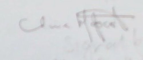 The Mysteries of Birds and Birders / Objects and of an Obsession