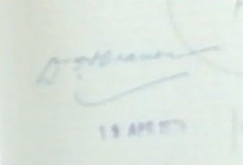 Patroon vir Rugby (SIGNED)