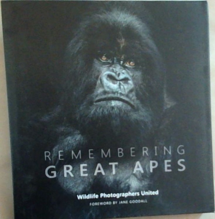 Remembering Great Apes (Remembering Wildlife)