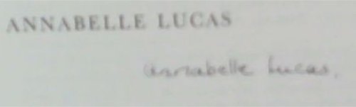 Wild Flowers Of The Witwatersrand