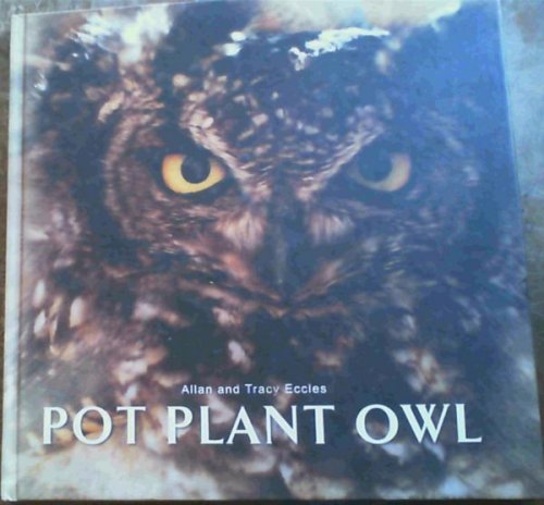 Pot Plant Owl