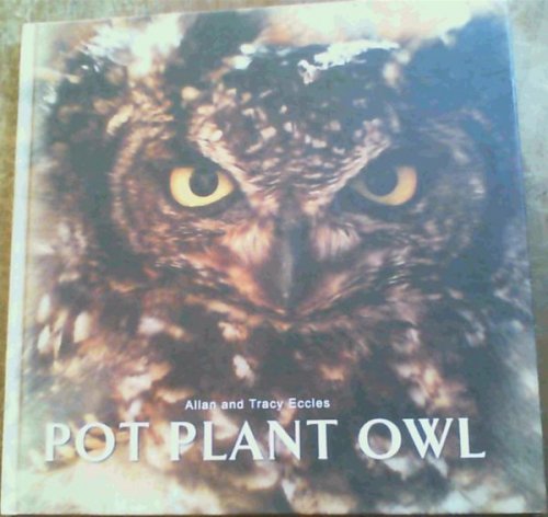 Pot Plant Owl