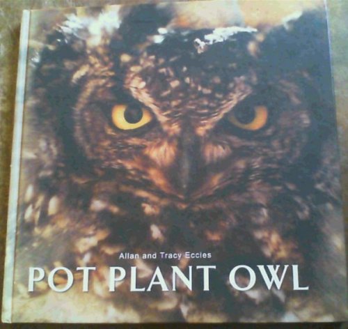 Pot Plant Owl