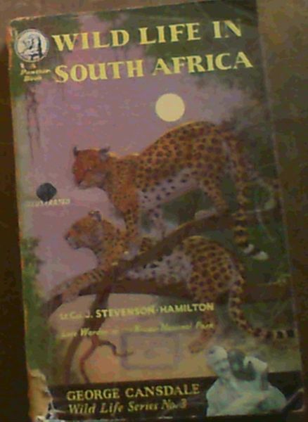 Wild Life In South Africa