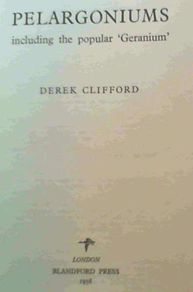 Pelargoniums - including the popular 'Geranium