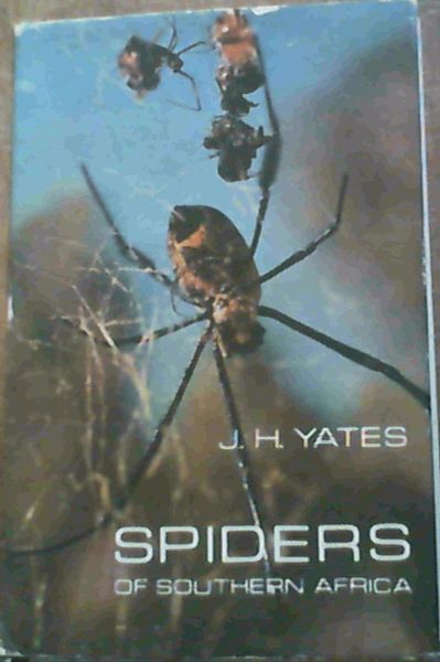 Spiders of Southern Africa