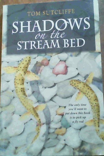 Shadows on the Stream Bed