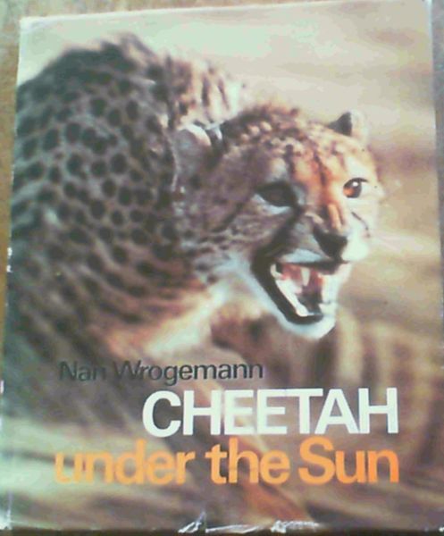 Cheetah Under the Sun