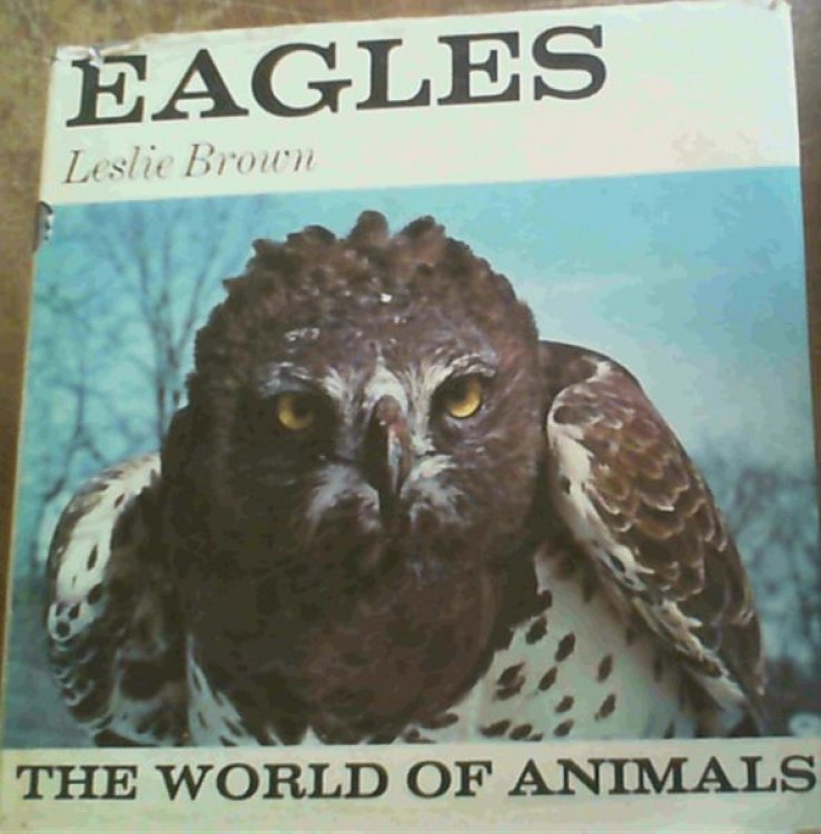 Eagles (The World of Animals)