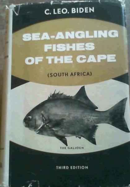 Image for Time Out of Time: Lynx (Contemporary Southern African Writing) Time Out of Time: Lynx (Contemporary Southern African Writing)