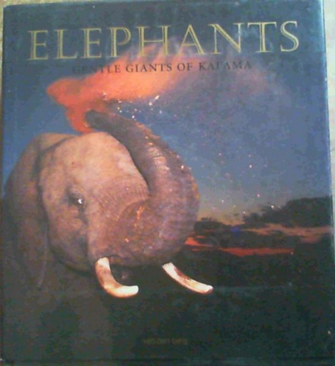 Elephants : Gentle Giants of Kapama