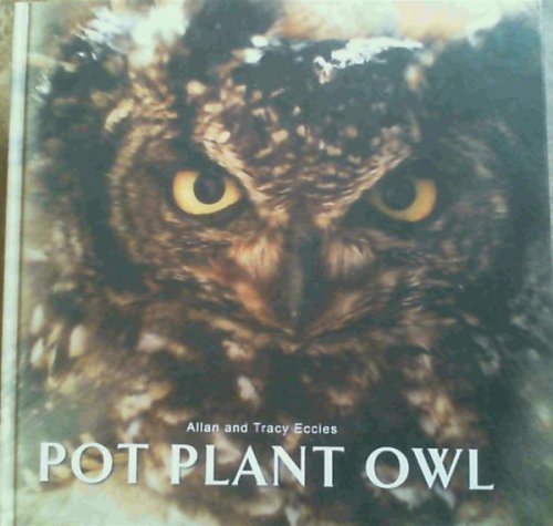 Pot Plant Owl