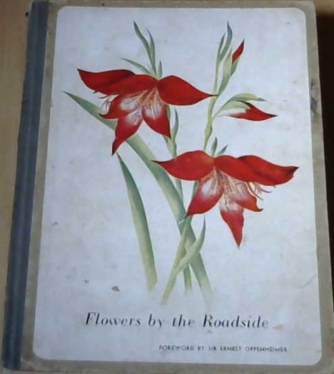 Flowers by the Roadside