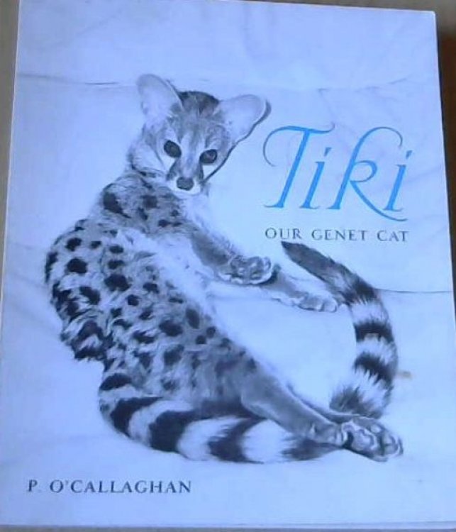 Tiki - Our Genet Cat