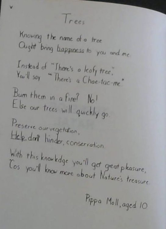 Trees of Natal: A comprehensive field guide to over seven hundred indigenous and naturalized species