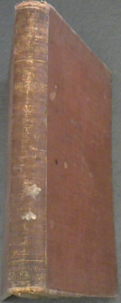 Image for The Psychology of Jingoism The Psychology of Jingoism