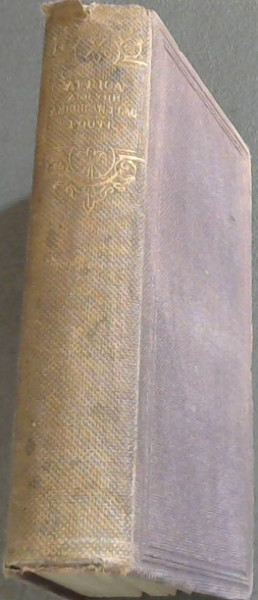 Africa and the American Flag