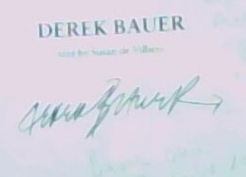 S. A. Flambe and Other Recipes for Disaster