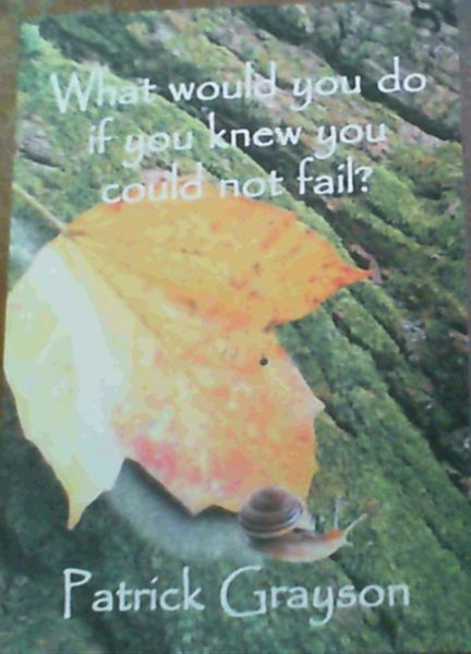 What would you do if you knew you could not fail