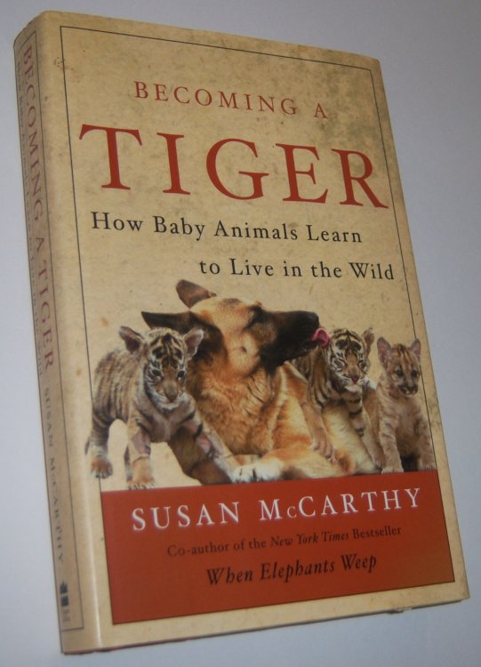 Image for BECOMING A TIGER: How Baby Animals Learn to Live in the Wild BECOMING A TIGER: How Baby Animals Learn to Live in the Wild