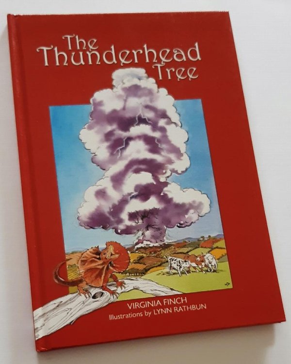 THE THUNDERHEAD TREE