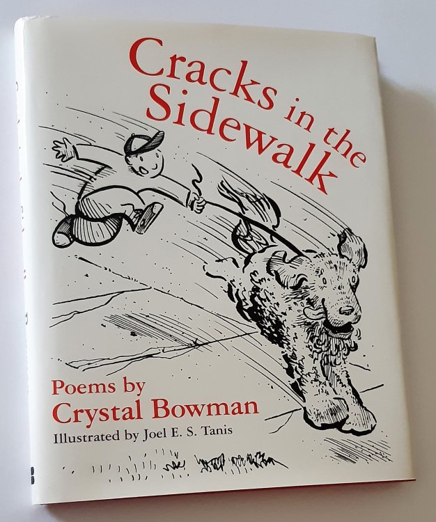 CRACKS IN THE SIDEWALK