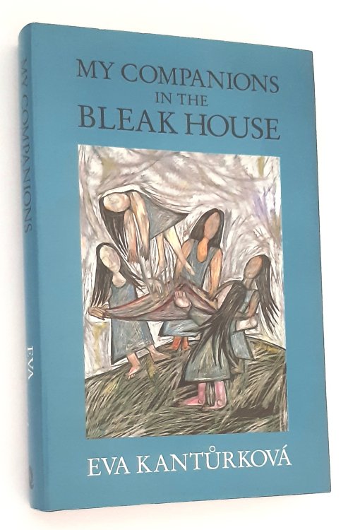 MY COMPANIONS IN THE BLEAK HOUSE