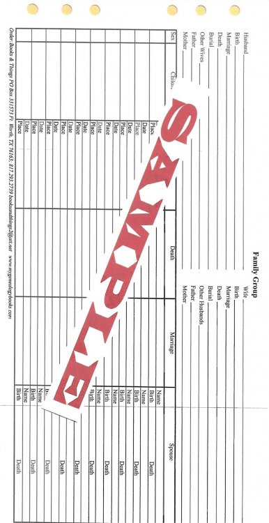 Family Group Sheet mini form