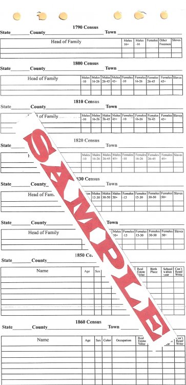 1790-1930 Census Form