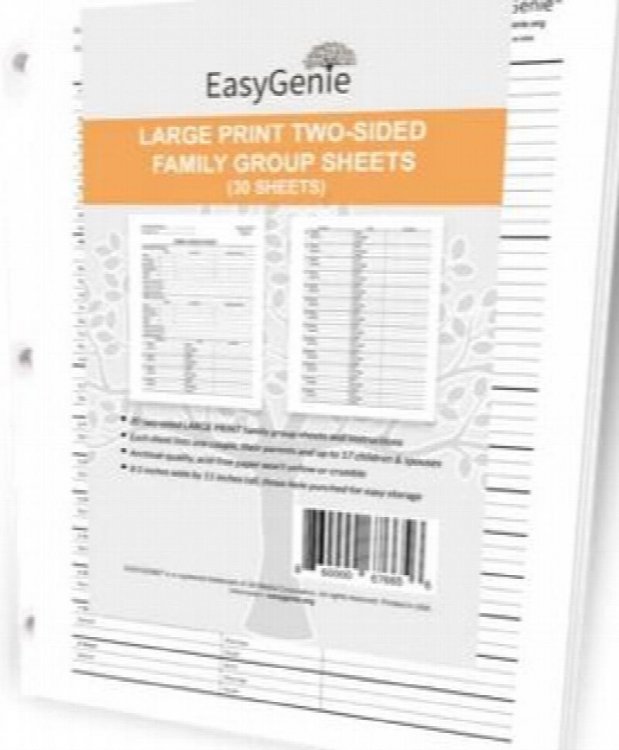 Easy Genie Large Print 2-sided 30 Family Group Sheets