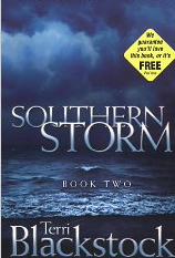 Southern Storm, Book Two (Cape Refuge Series)