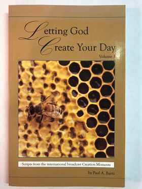 Letting God Create Your Day, Volume 3