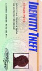 Identity Theft: Protecting Yourself From an Unprotected World (Financial Alert Series)
