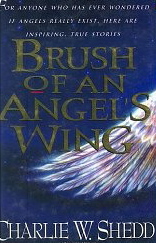Brush of an Angel's Wing