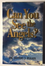 Can You See the Angels And Other Sermons of Comfort and Encouragement