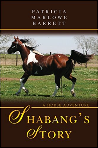 Shabang's Story: A Horse Adventure