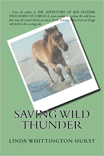 Saving Wild Thunder