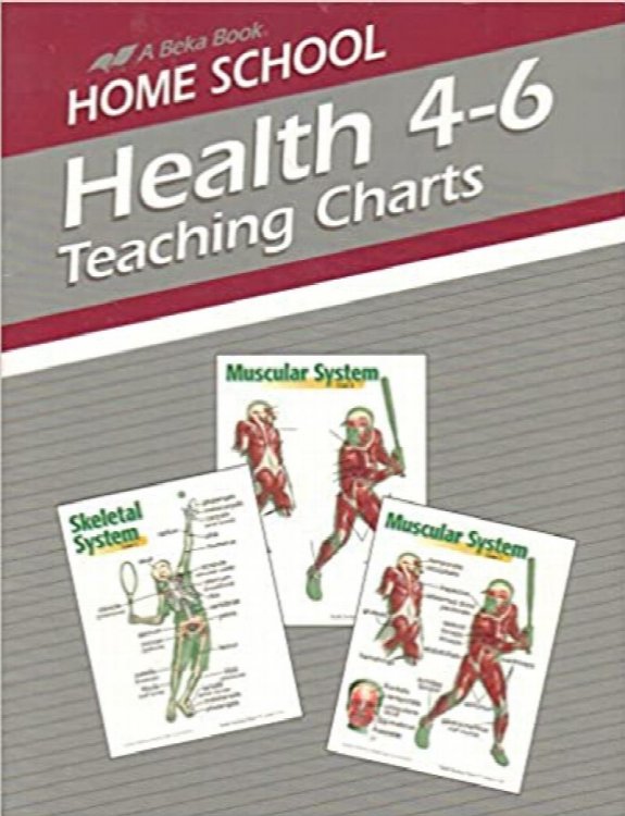 Health 4-6 Teaching Charts (Home School)
