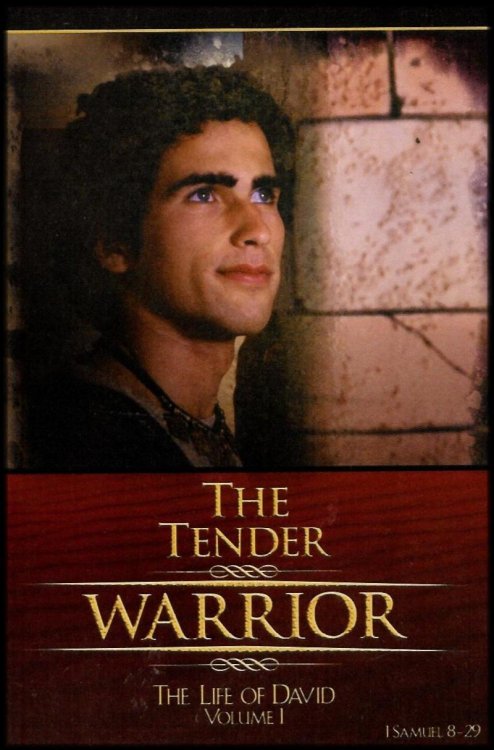 The Tender Warrior Series Study Guide: The Life of David Volume I: 1 Samuel 8-29