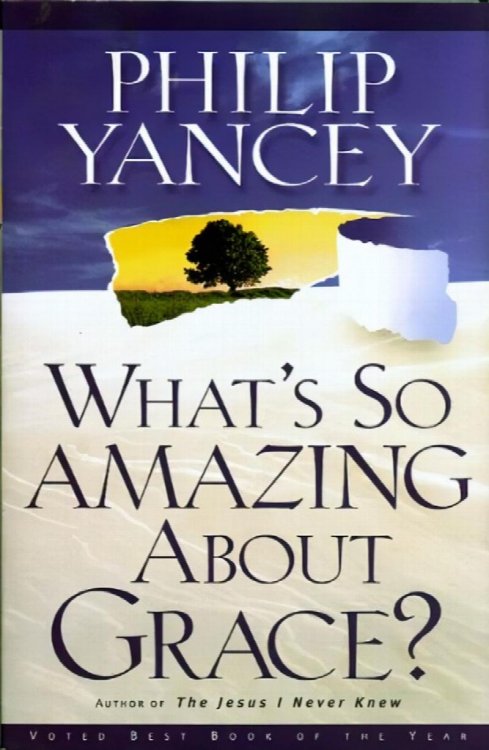 What's So Amazing About Grace